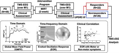 Characterizing cortical responses to short-term multidisciplinary intensive rehabilitation treatment in patients with Parkinson’s disease: A transcranial magnetic stimulation and electroencephalography study